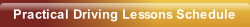 Professional, Reliable & Patient, Driving Lessons